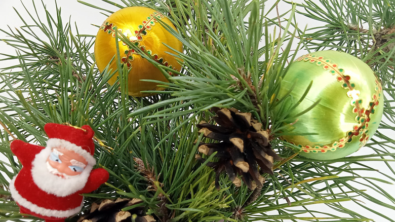 Decorative branches of the Eastern white pine with baubles and pine cones