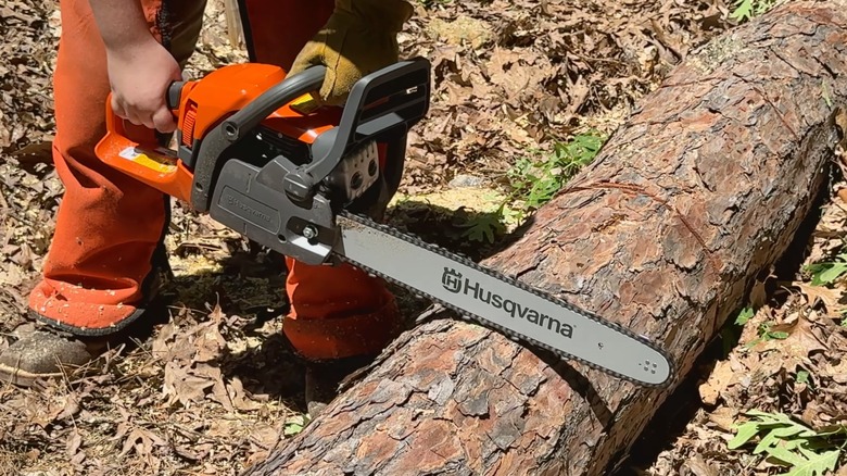 Person using Husqvarna 440 40cc Gas Chainsaw to cut tree