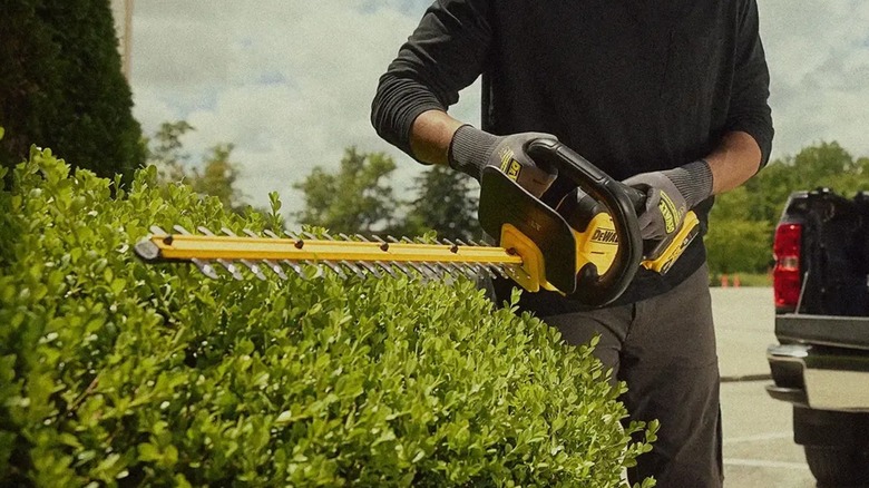 Man using DeWalt 20V Max Cordless Hedge Trimmer  on hedge