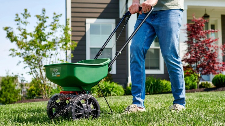 Person pushing Scotts Turf Builder Mini Broadcast Spreader along lawn