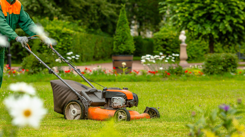 Person pushing lawn mower in neat and polished yard