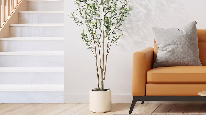 DR.Planzen Artificial Olive Tree with white planter.