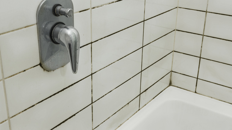 Closeup of stained, moldy grout in a shower