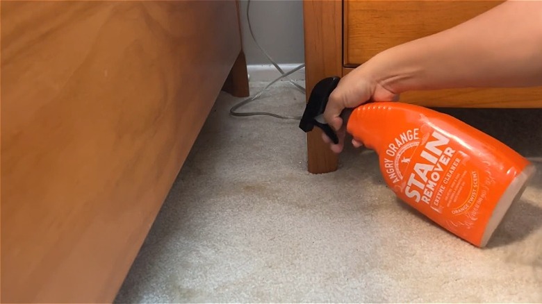 Person's hand spraying Angry Orange cleaner onto a carpet stain.