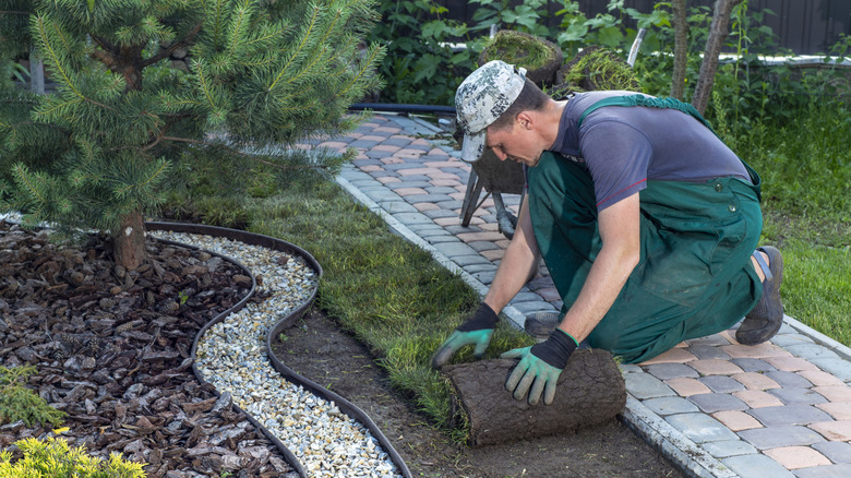 A gardener laying turf in a yard