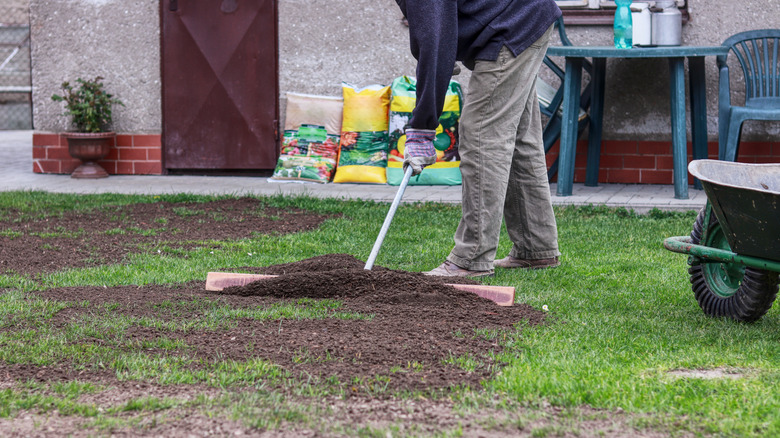 A man leveling a lawn with a lawn-leveling rake
