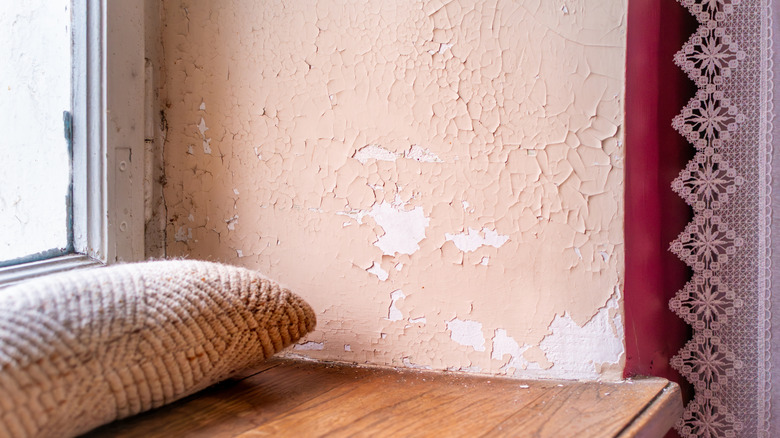Paint peeling off from the corner wall of an old home
