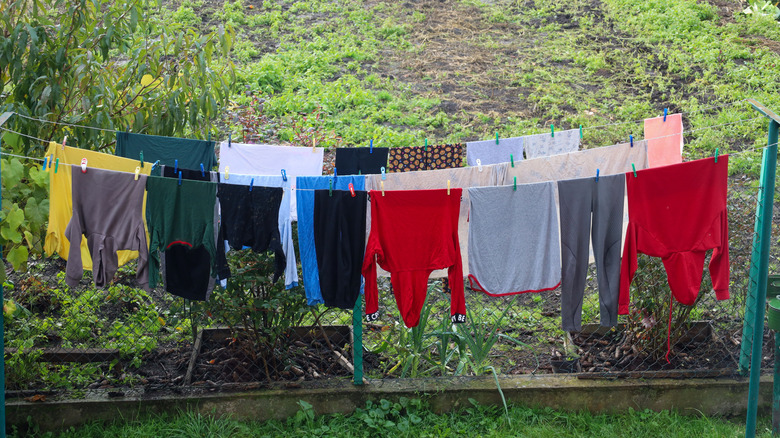 Colorful clothes hang on an outdoor clothesline