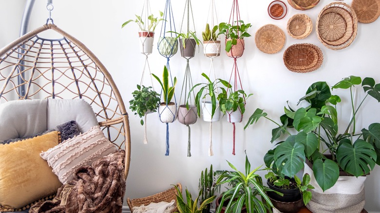 a room filled with plants