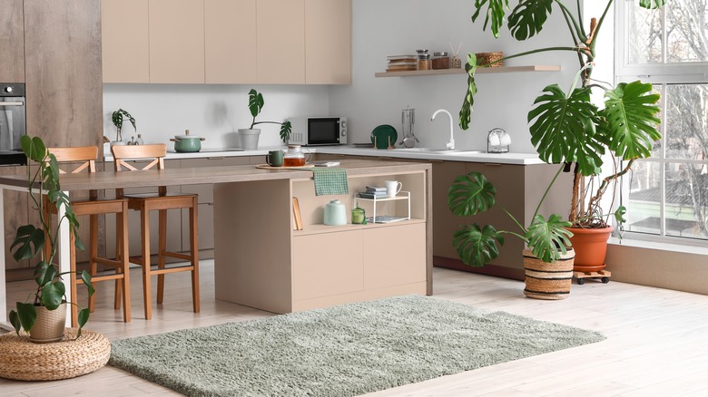 Kitchen with a fluffy sage green rug