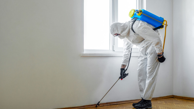 A professional exterminator working in a house