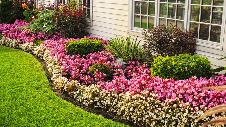 A house with a flower bed directly against the outside wall