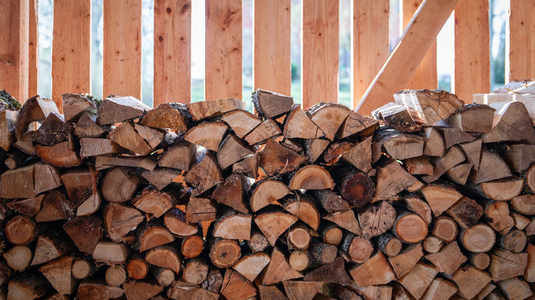 Firewood stacked in a wooden shelter