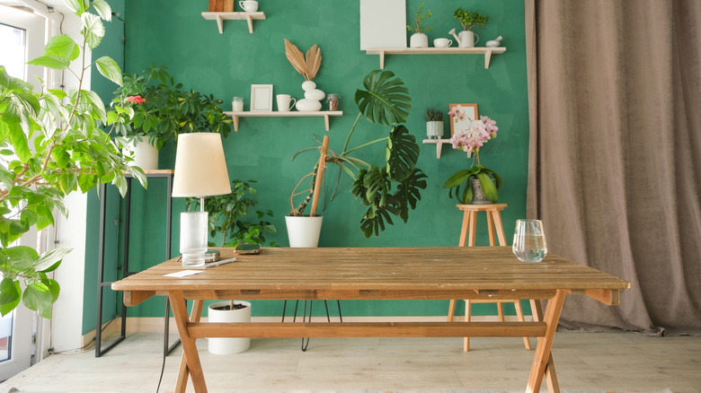 A room in an apartment filled with houseplants and a wooden desk near a window.