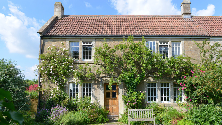 climbing plants on house exterior