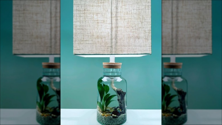 Terrarium in glass lamp base