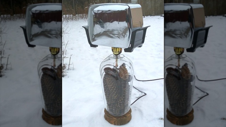 Pine cones in clear glass lamp base