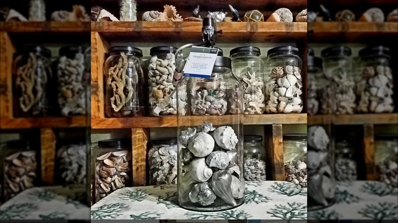 Shells in lamp base made of glass