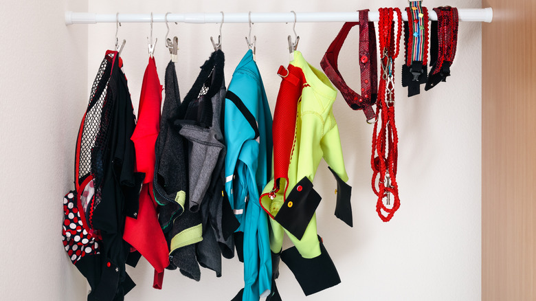 A variety of pet products hanging on a rod