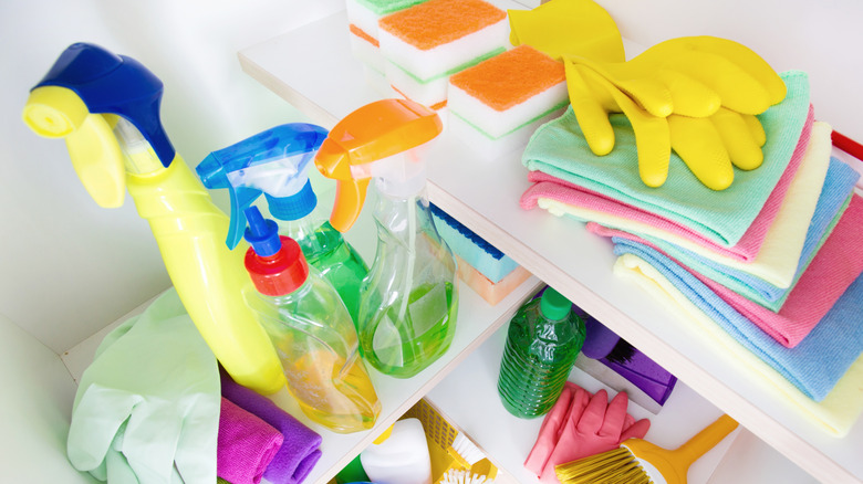 Cleaning supplies arranged on shelves