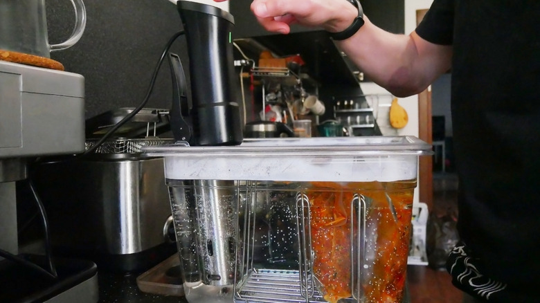 A person using the a sous vide machine with the immersion circulator