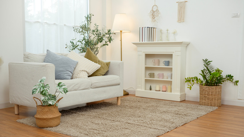 A living room with wood floors, rug, cream comfy sofa and a cream shelving unit. There are also three large plants in the room.