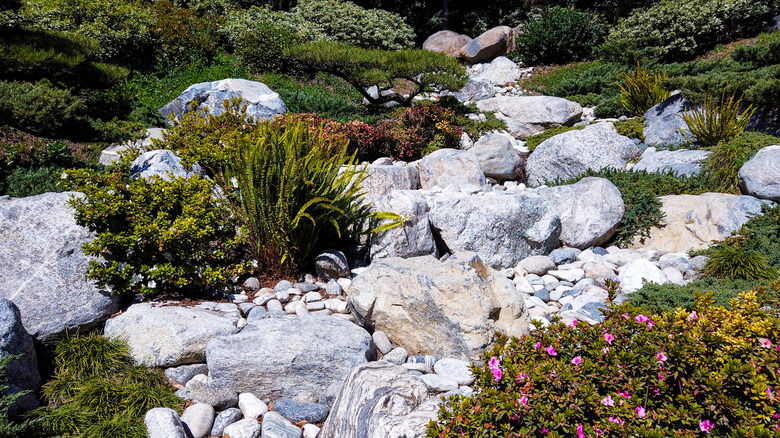 A dry creek bed meanders through green plants