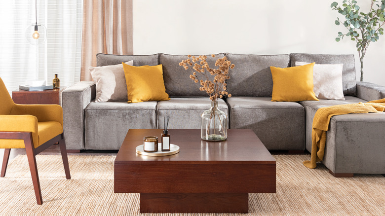 Living room with a textured area rug
