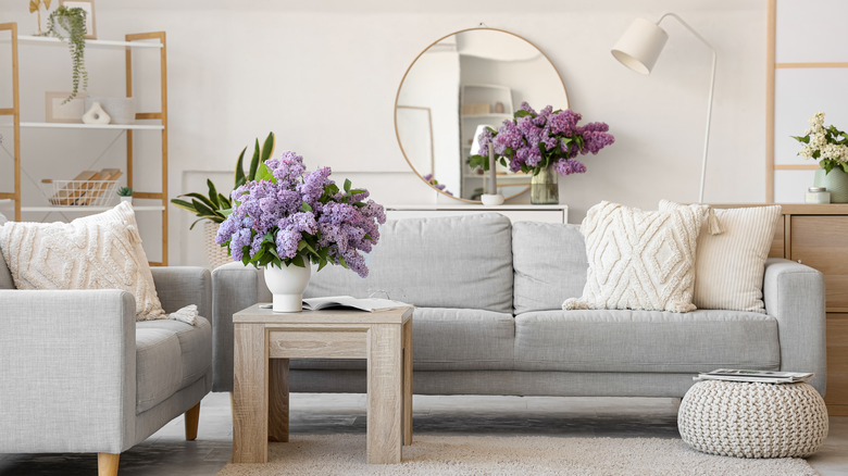 Living room with fresh purple flowers in vases