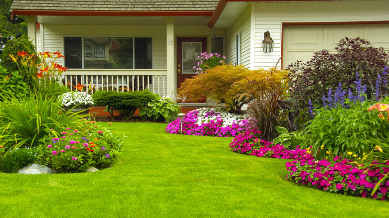 A neatly maintained front yard with short flowers and plants
