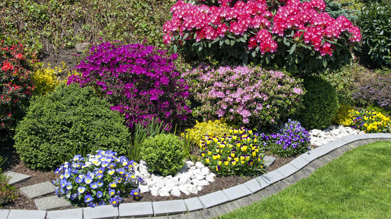 Different kinds of flowered plants receiving sunlight in a garden