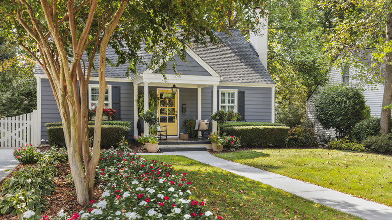 A front yard garden with different kinds of flowers and trees all growing together