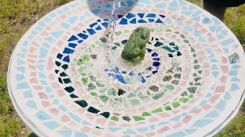 Mosaic bird bath with frog figurine in the center and a simple pattern of broken china in concentric circles having water added to it.