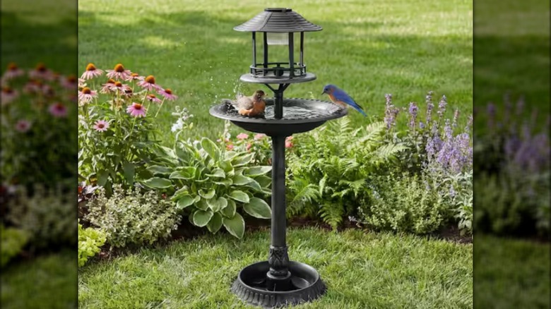 Best Choice's Solar Black Pedestal Fountain Birdbath in a garden with birds bathing in it