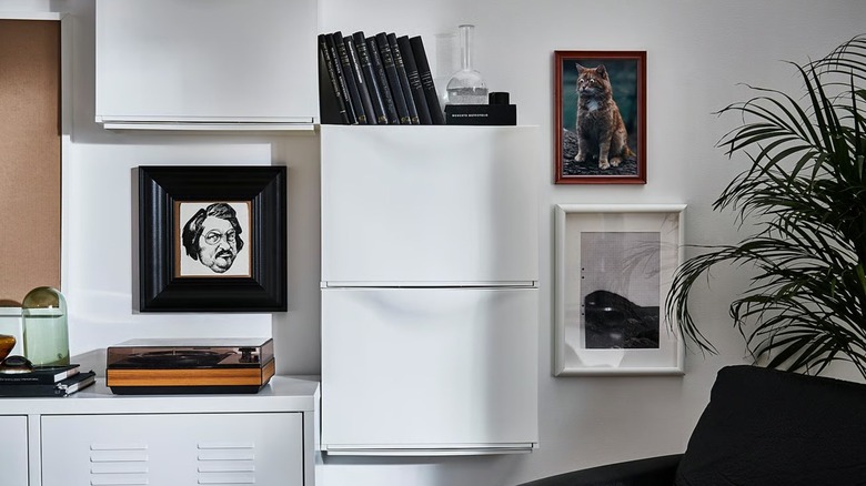 IKEA TRONES Shoe/storage cabinet mounted on wall