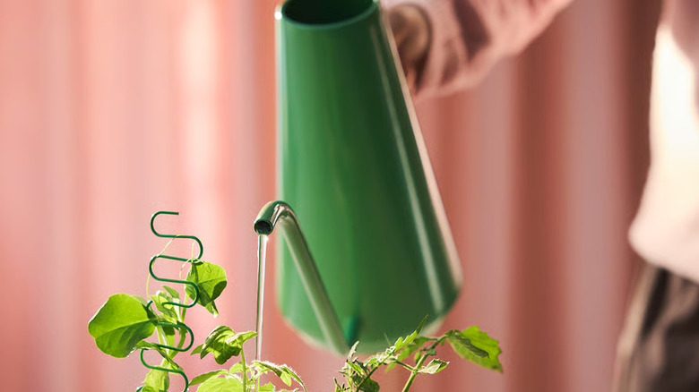 IKEA's DOFTRIPS watering can