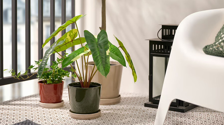 IKEA's KLOTLÖNN plant pot