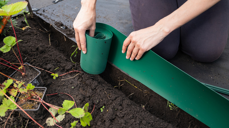 Putting plastic edging on a raised bed