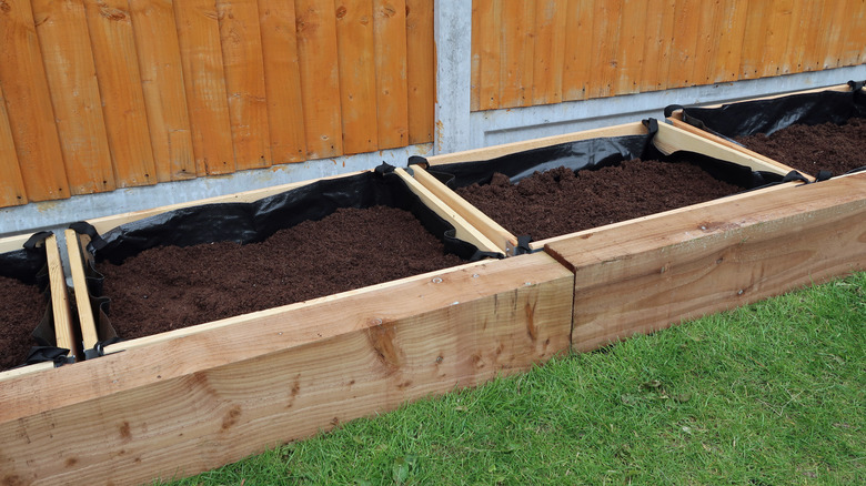 Raised bed filled with bagged soil
