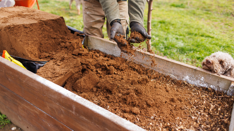 Filling garden bed with raised bed mix