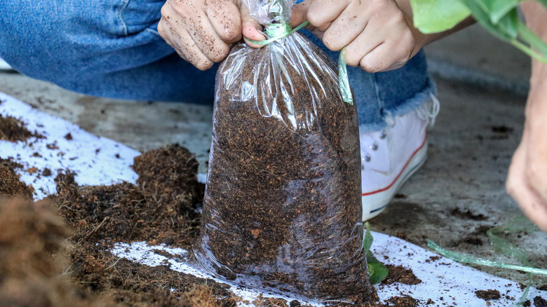 Adding small bag of soil