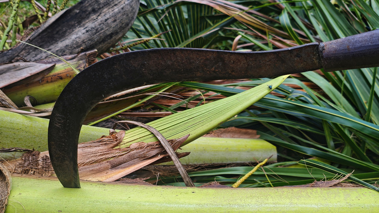 A traditional sickle embedded in a piece of wood