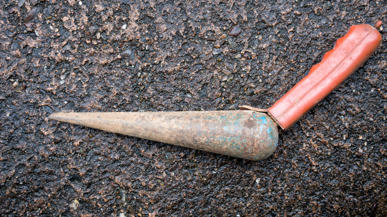 An old-school seed dibber