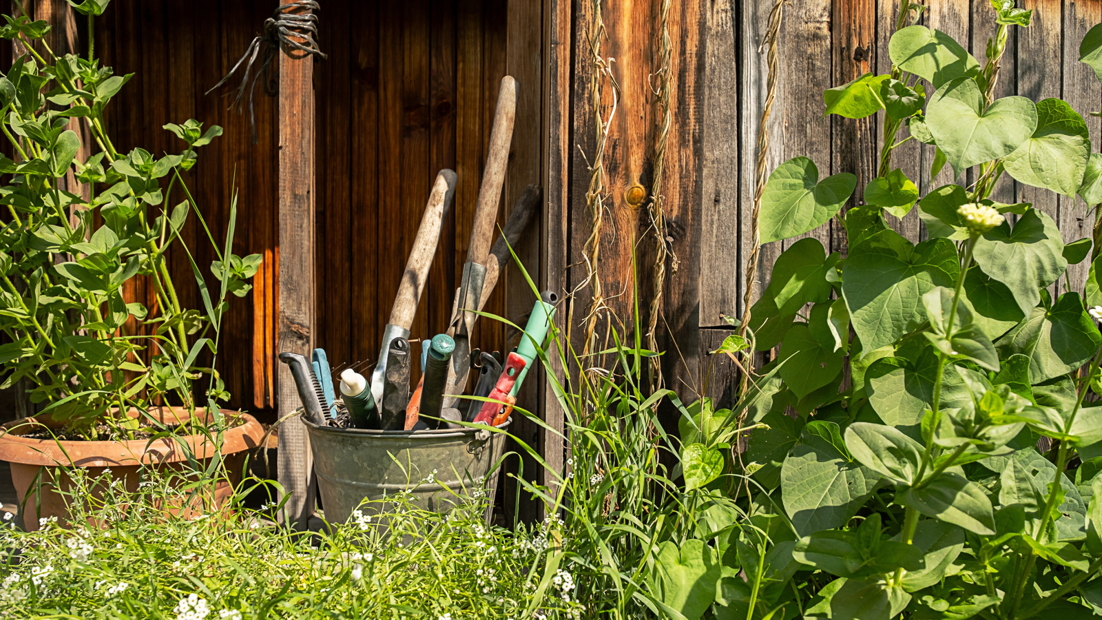 15 Old School Tools That Went Obsolete