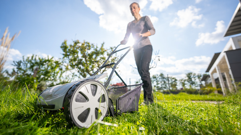 Woman pushing a reel mower