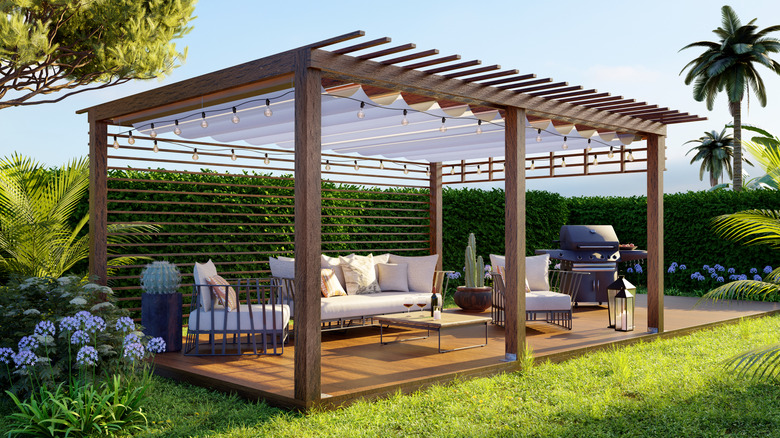 pergola in the garden providing shade