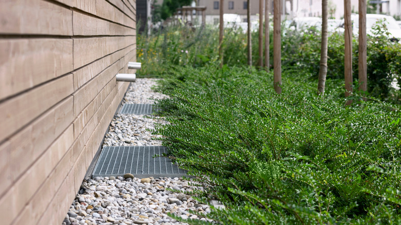 French drains in garden
