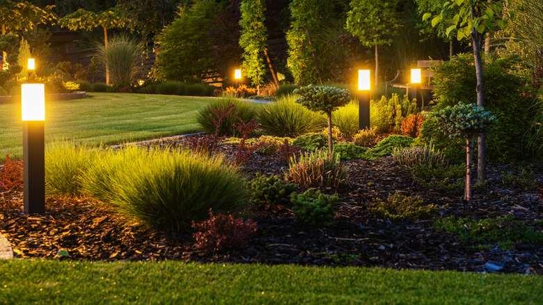 modern landscaping lighting