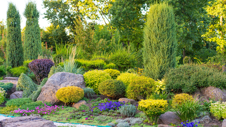 garden with neatly cut shrubs