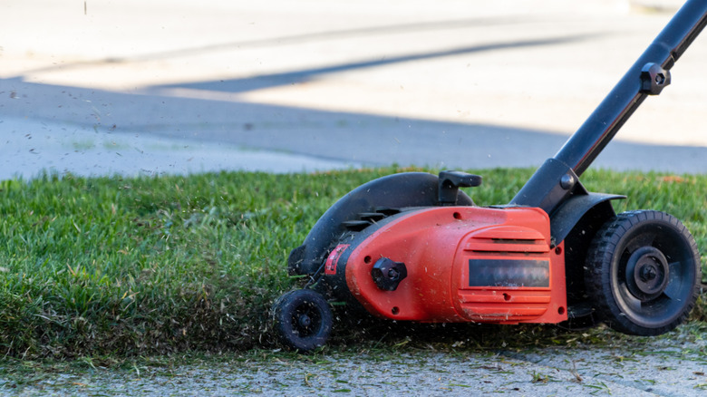 Red lawn edger cutting next to a driveway